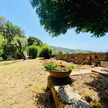 Résidence Marie Diane - Laurier Des Bois Propriano (Corsica)