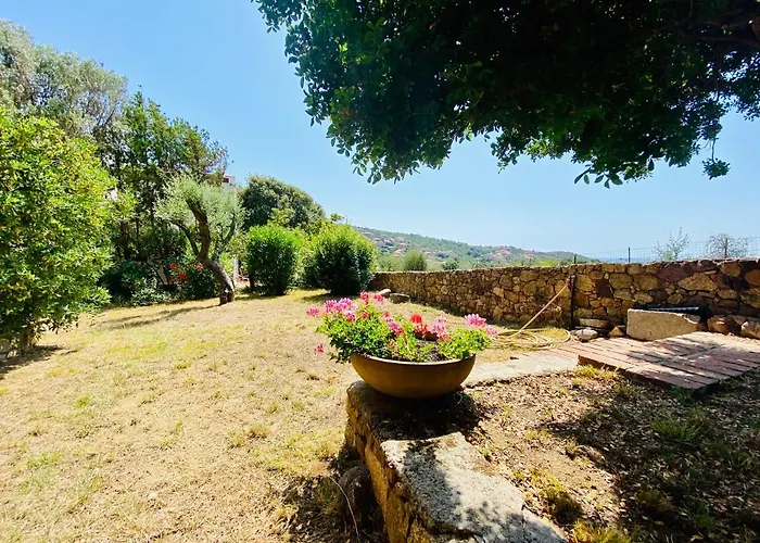 Marie Diane - Laurier Des Bois Propriano (Corsica)